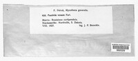Image Associated With the Occurence
